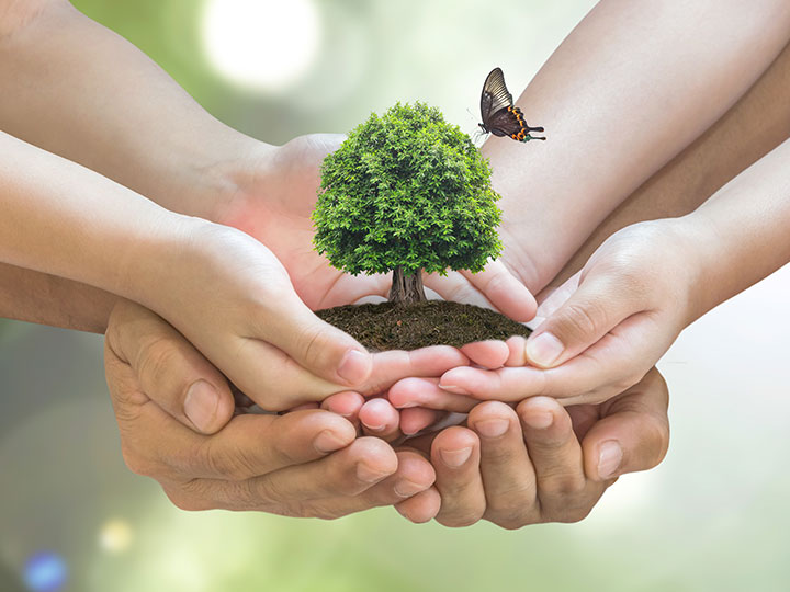 hands holding green plant with a butterfly on it